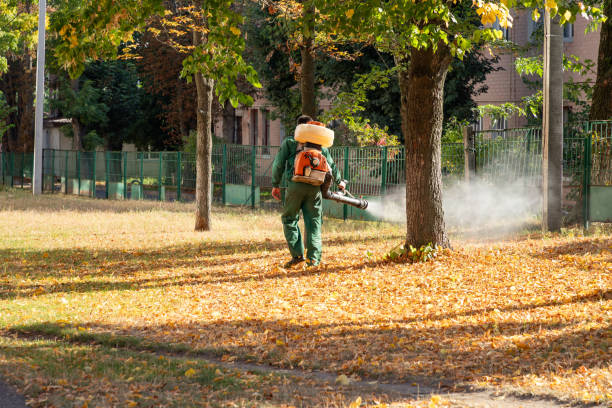 Best Exterminator Services  in Troy, TX
